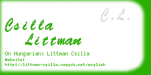csilla littman business card